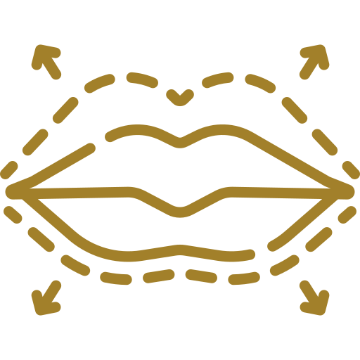  <span class="lte-header lte-h4"> Aumento y Perfilado de Labios<br />
 </span> 